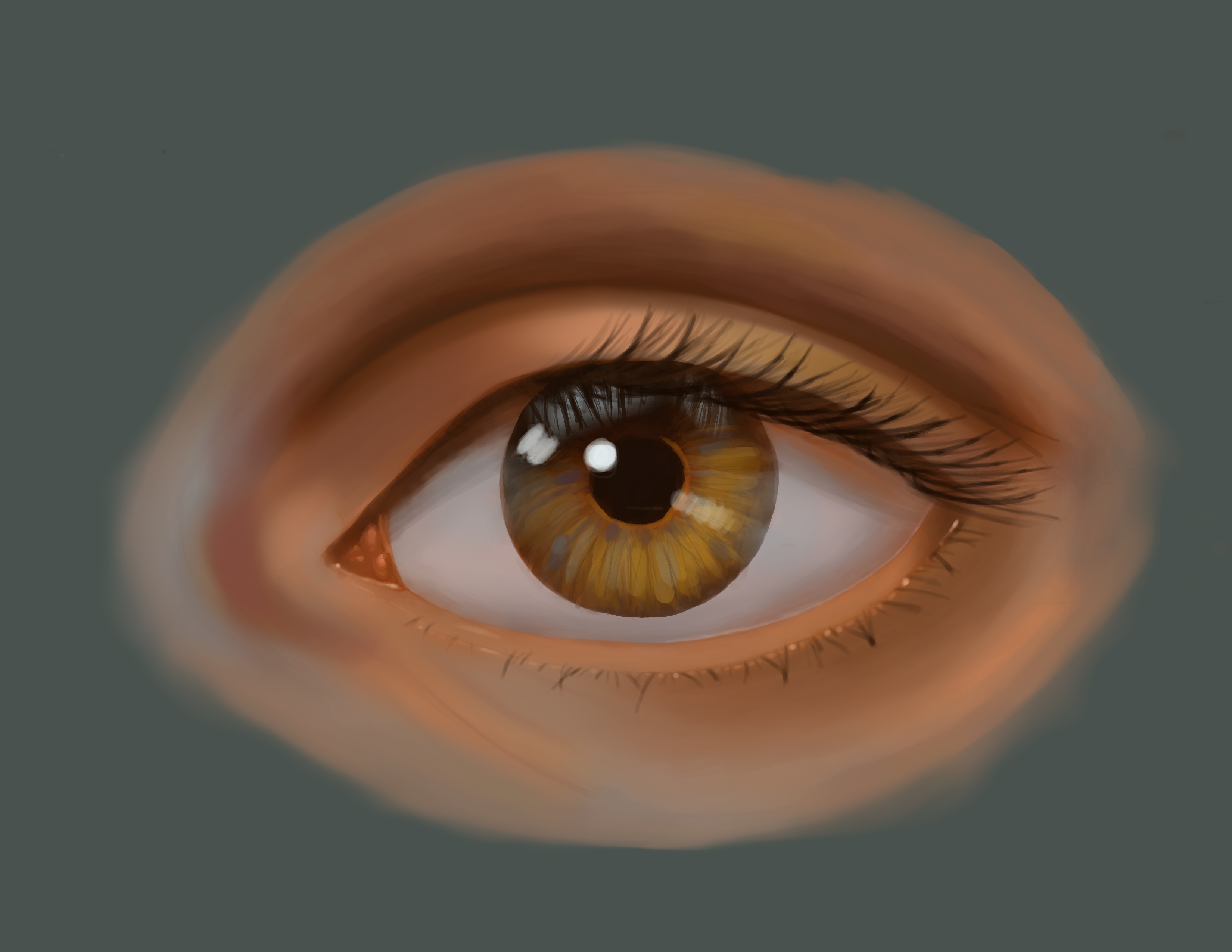 Look Into My Eye - facial features practice painting 